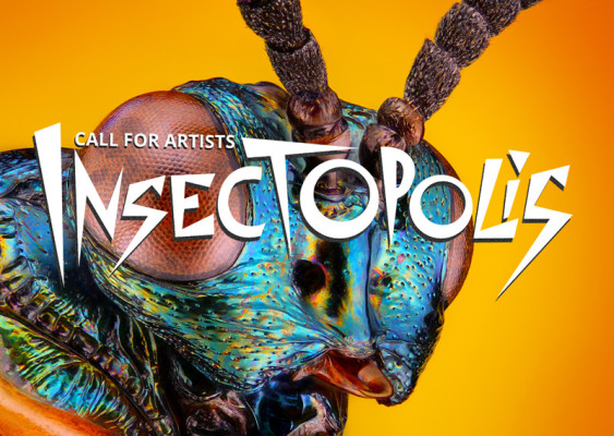 Insectopolis – Projektstipendium für künstlerische Intervention im öffentlichen Raum zu Insekten in der Stadt